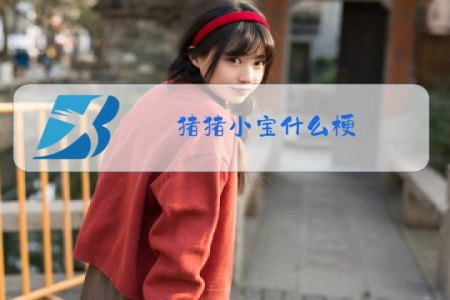 猪猪小宝什么梗